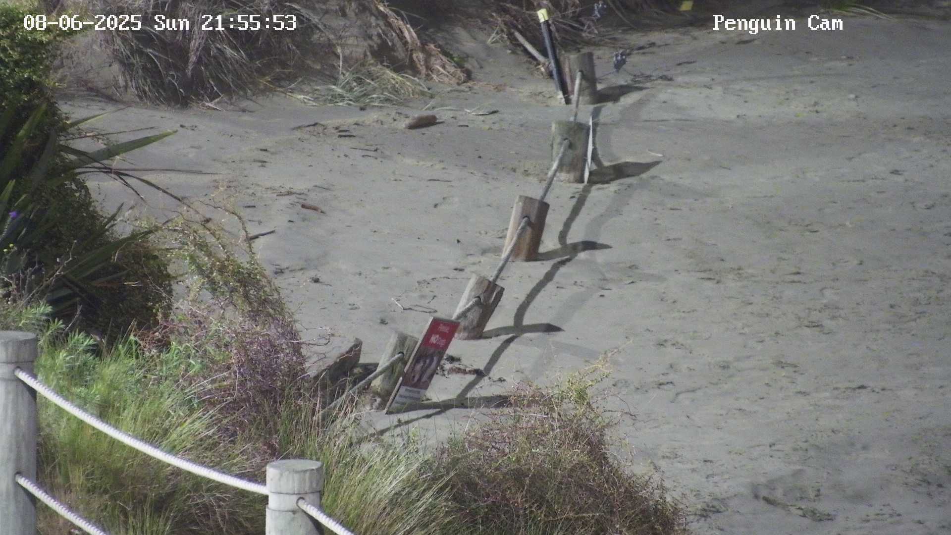 Penguin Camera Project - Timaru District Council